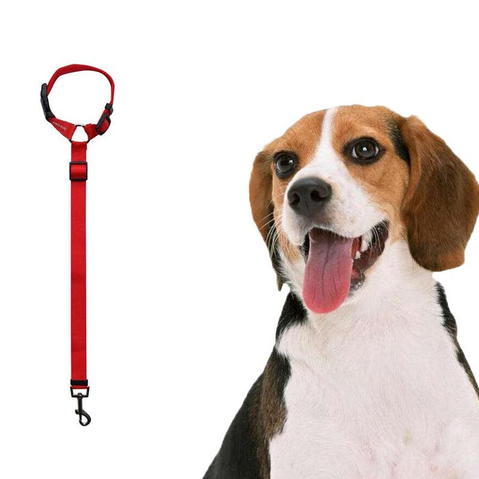 Dog Car Seat Belt For Safe Travel