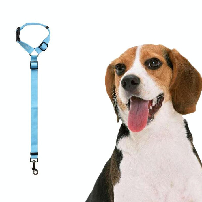 Dog Car Seat Belt For Safe Travel