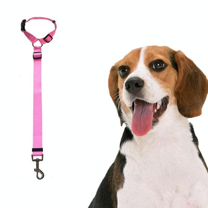 Dog Car Seat Belt For Safe Travel