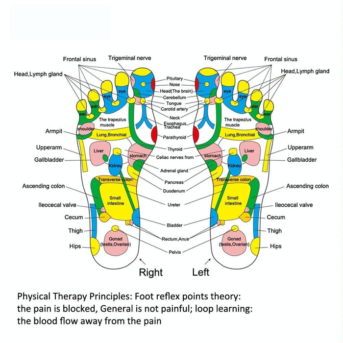35Cm Imitation Stone Foot Massage Pad Pain Relief & Acupressure
