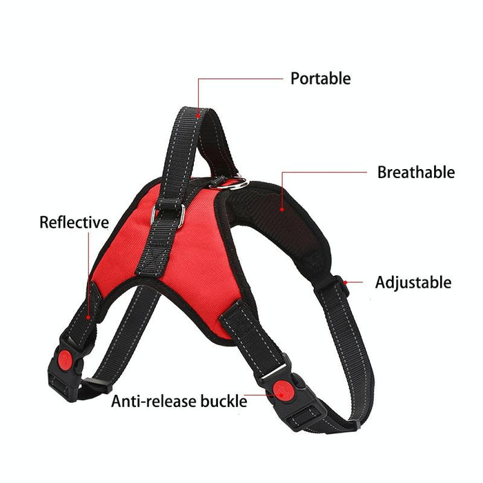 Adjustable Dog Chest Strap Size S