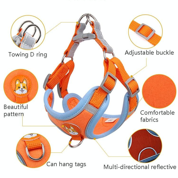 Reflective Dog Traction Rope Xl Chest Straps