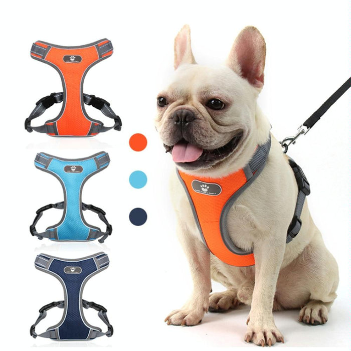 Xl Dog Chest Straps With Breathable Mesh
