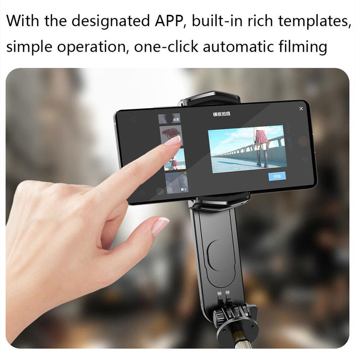 Removable Fill Light Phone Handheld Stabilizer With App Q09 Black