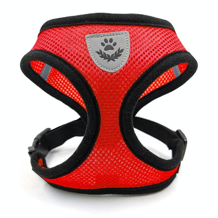 Breathable Dog Walking Vest For Small To Medium Pets