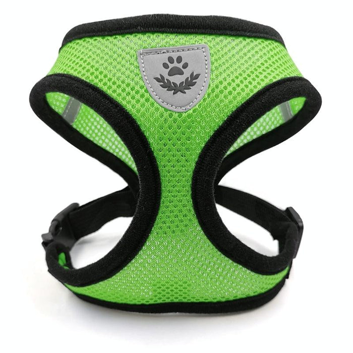 Breathable Dog Walking Vest For Small To Medium Pets