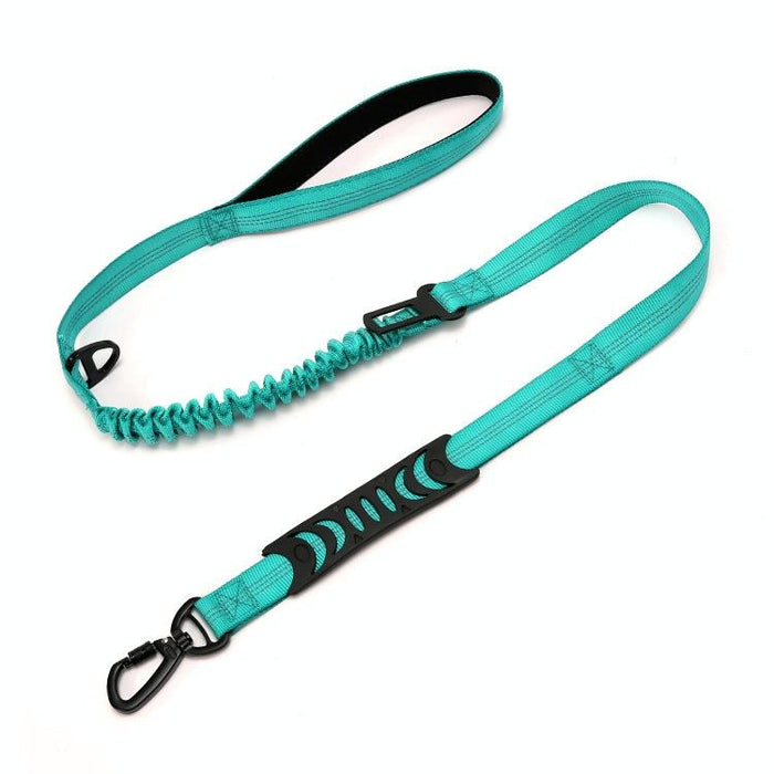 Reflective Dual Purpose Car Dog Leash