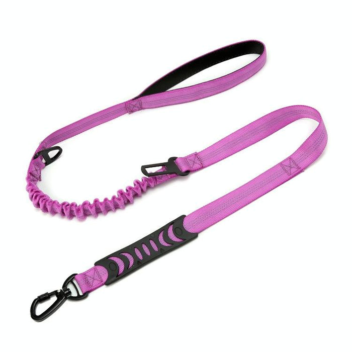 Reflective Dual Purpose Car Dog Leash