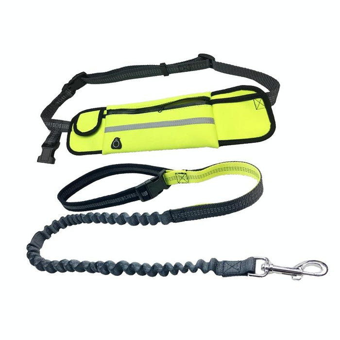 Portable Pet Traction Rope With Waist Bag