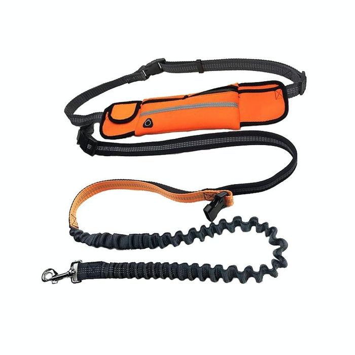 Portable Pet Traction Rope With Waist Bag