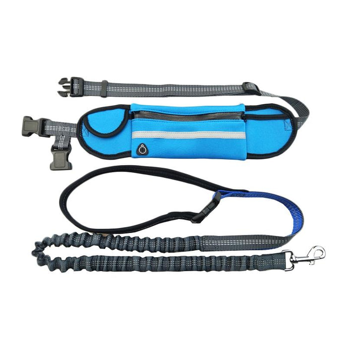 Portable Pet Traction Rope With Waist Bag