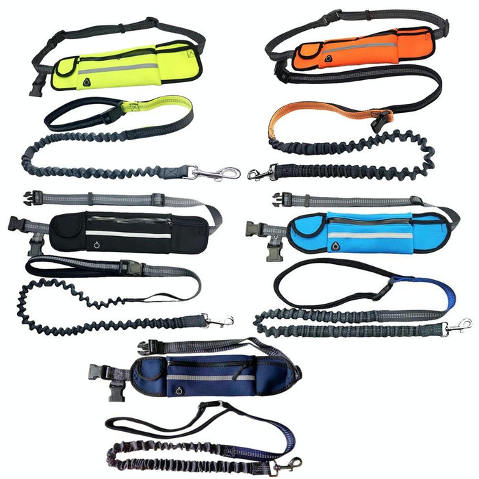 Portable Pet Traction Rope With Waist Bag