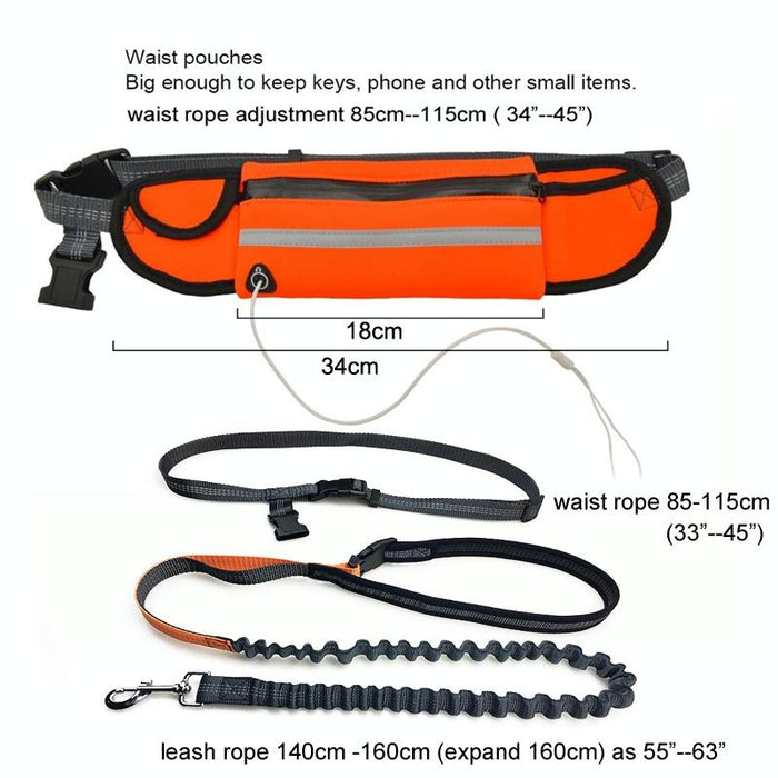 Portable Pet Traction Rope With Waist Bag