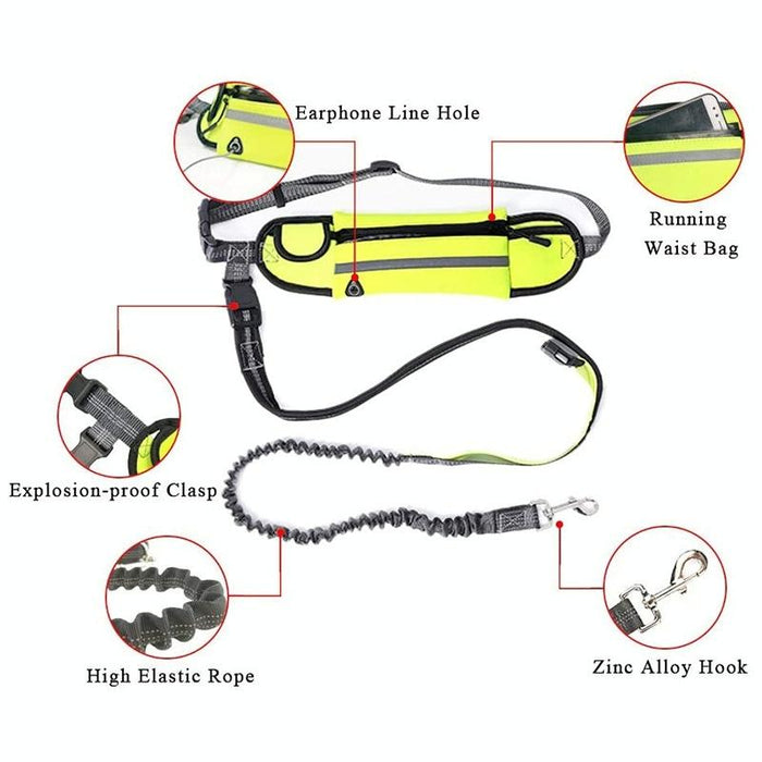 Portable Pet Traction Rope With Waist Bag