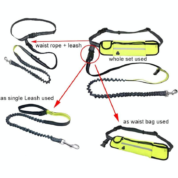 Portable Pet Traction Rope With Waist Bag