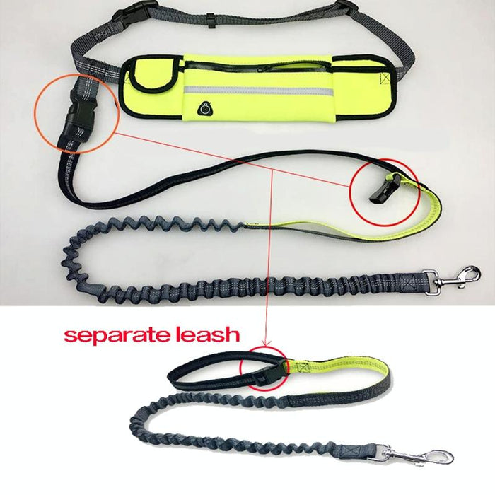 Portable Pet Traction Rope With Waist Bag