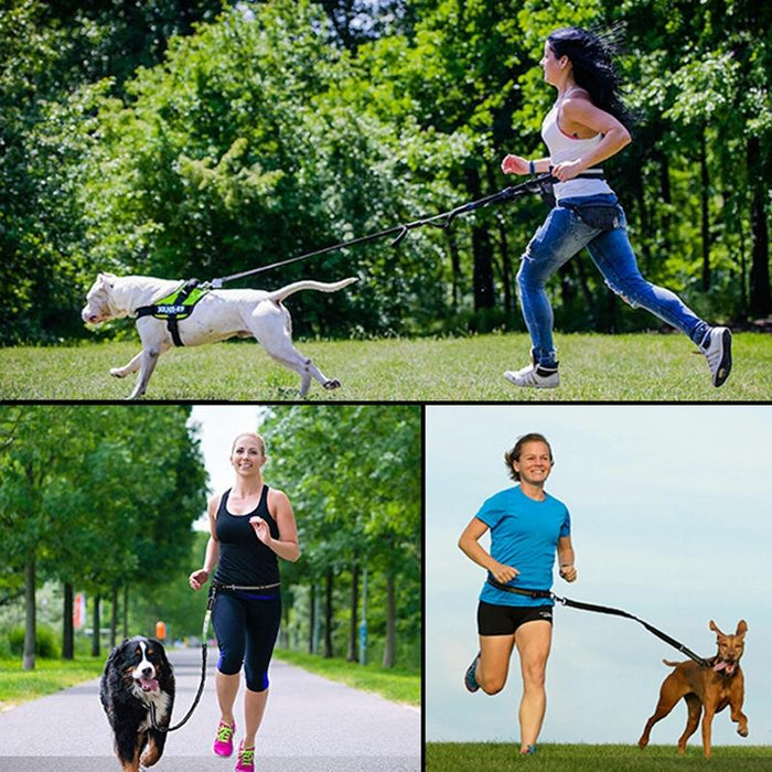 Portable Pet Traction Rope With Waist Bag