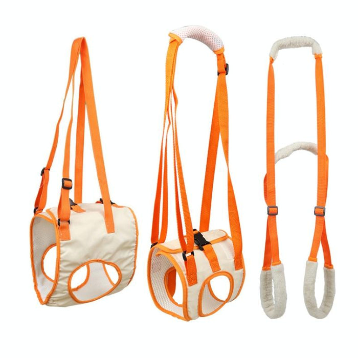 Assistive Pet Leash Belt For Disabled Dogs