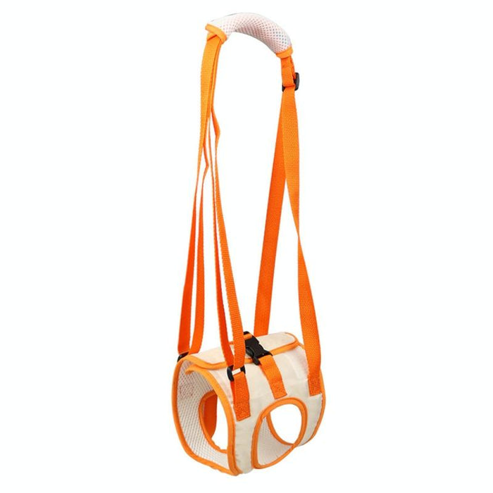 Assistive Pet Leash Belt For Disabled Dogs