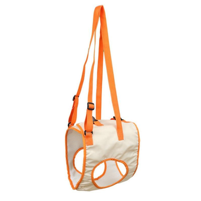 Assistive Pet Leash Belt For Disabled Dogs