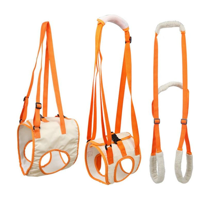 Assistive Pet Leash Belt For Elderly Dogs