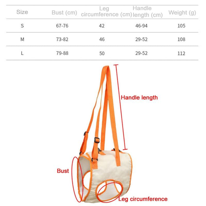 Assistive Pet Leash Belt For Elderly Dogs