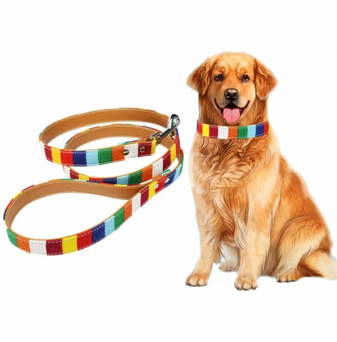 Colourful Strip Canvas Dog Leash L 2.5 X 120Cm