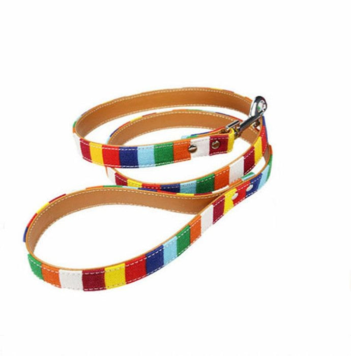Colourful Strip Canvas Dog Leash L 2.5 X 120Cm