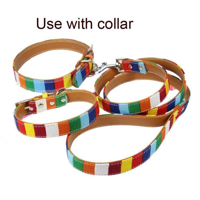 Colourful Strip Canvas Dog Leash L 2.5 X 120Cm