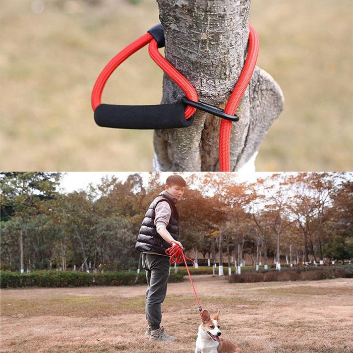 10M Bold & Long Rock Climbing Rope Dog Leash For Training & Tracking