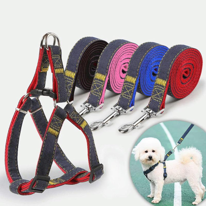 Strong Denim Dog Leash Set Size L