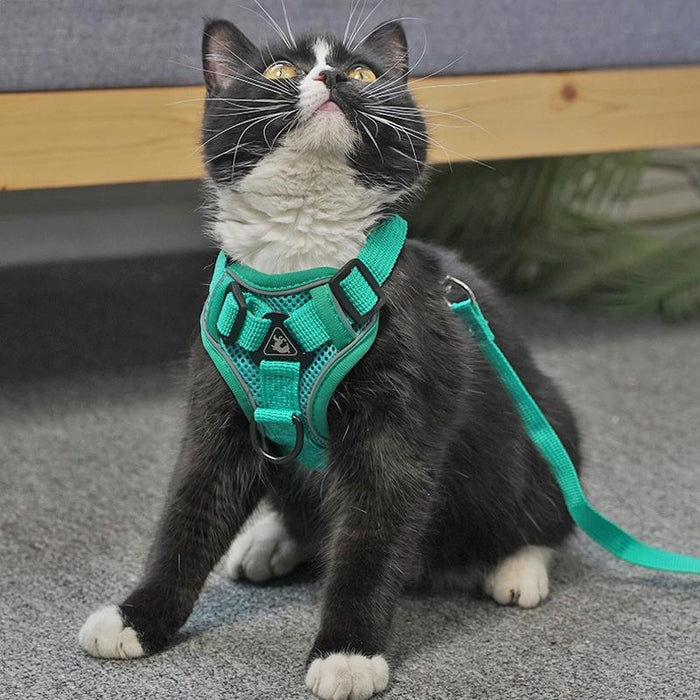 Reflective Pet Harness Set With Traction Rope Size L