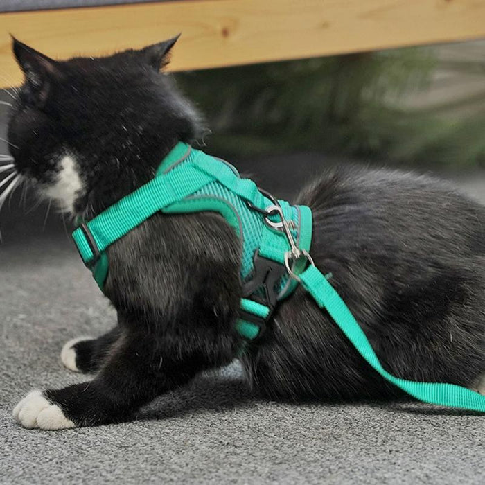 Reflective Pet Harness Set With Traction Rope Size L