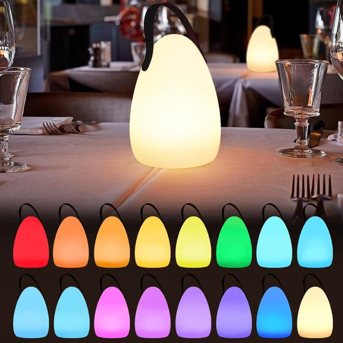 Usb Rechargeable Hanging Lantern With 16 Led Colours
