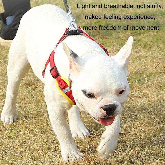 Reflective Dog Harness With Anti Break Leash Black Mesh