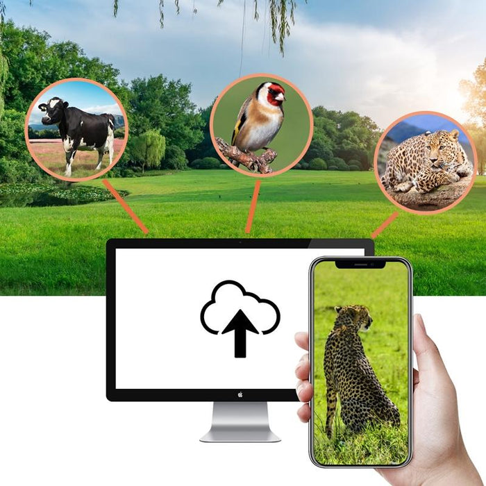 Hc-940Pro-Li 4K 4G Outdoor Track Camera Remote Mobile Phone Control To View Photos / Video At Any Time