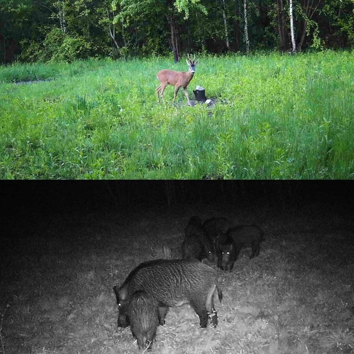 Hc-810A 2.7K Outdoor Tracking Camera Infrared Night Vision Monitoring Hunting Camera