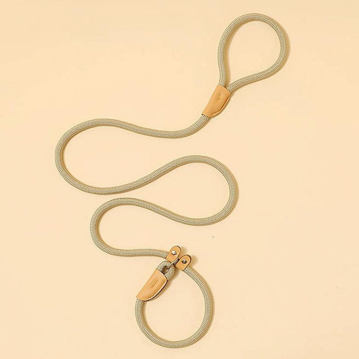 Universal Safety Buckle Dog Traction Rope