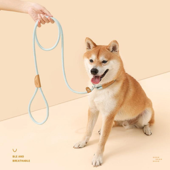 Universal Safety Buckle Dog Traction Rope