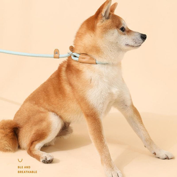 Universal Safety Buckle Dog Traction Rope