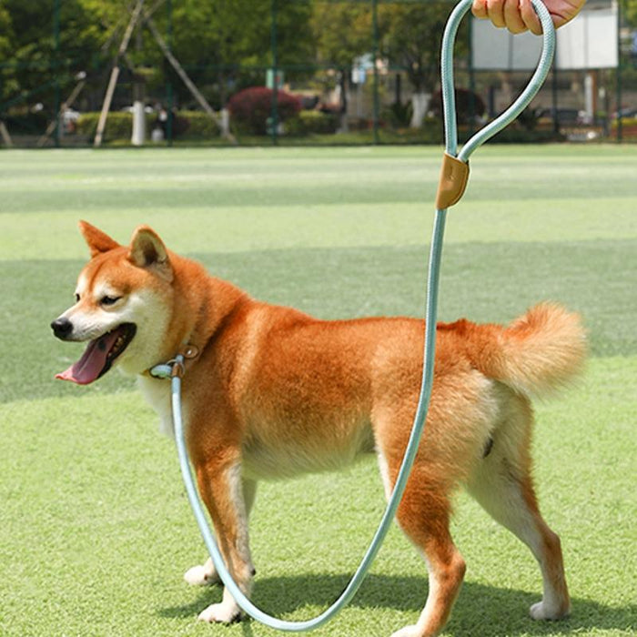 Universal Safety Buckle Dog Traction Rope