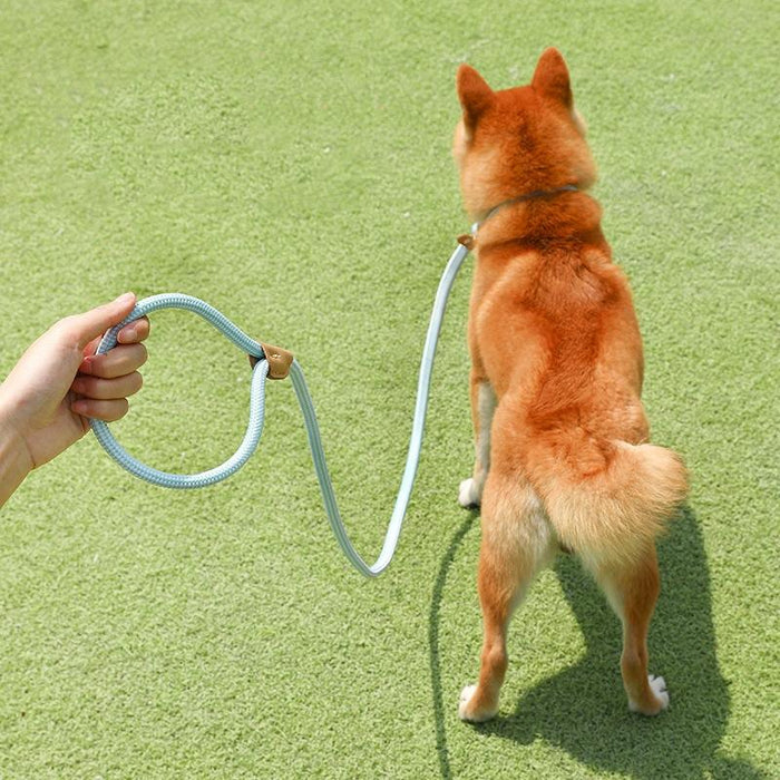 Universal Safety Buckle Dog Traction Rope