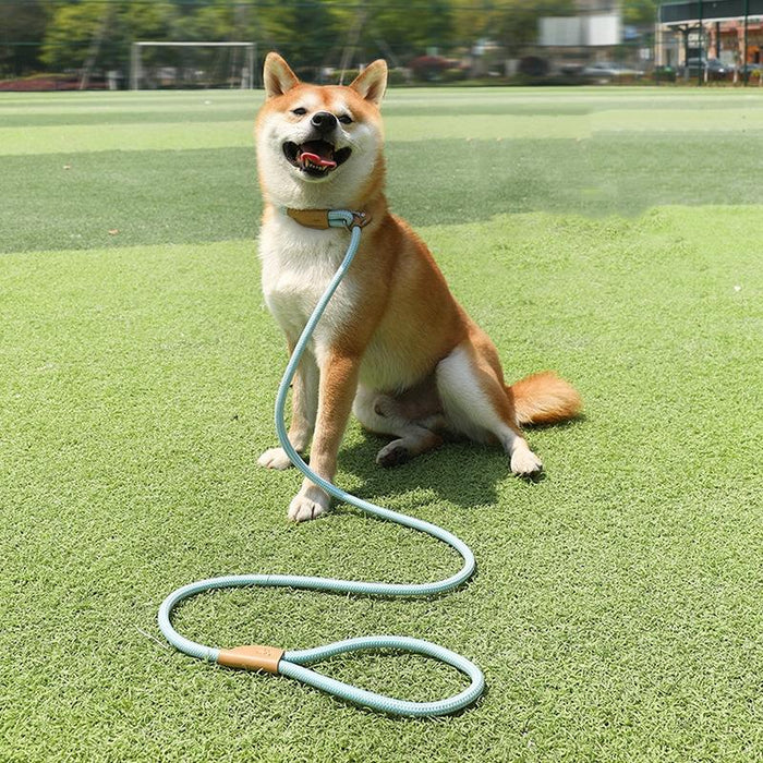 Universal Safety Buckle Dog Traction Rope