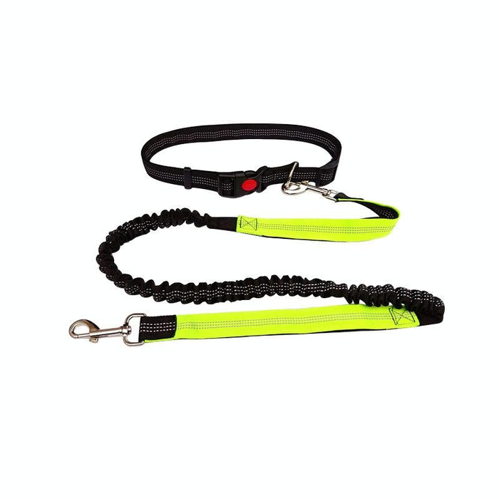 Multifunctional Dog Walking Leash For Active Pets