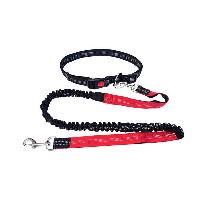 Multifunctional Dog Walking Leash For Active Pets