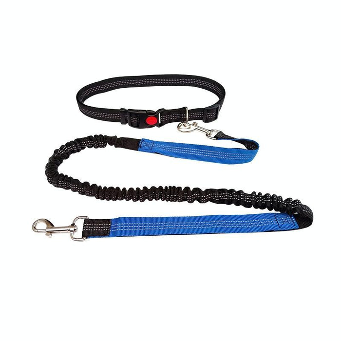 Multifunctional Dog Walking Leash For Active Pets