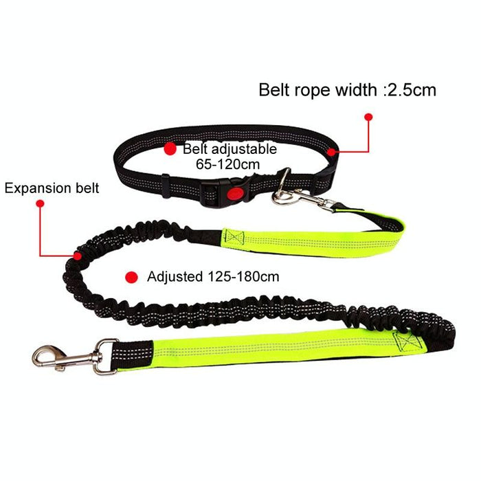 Multifunctional Dog Walking Leash For Active Pets