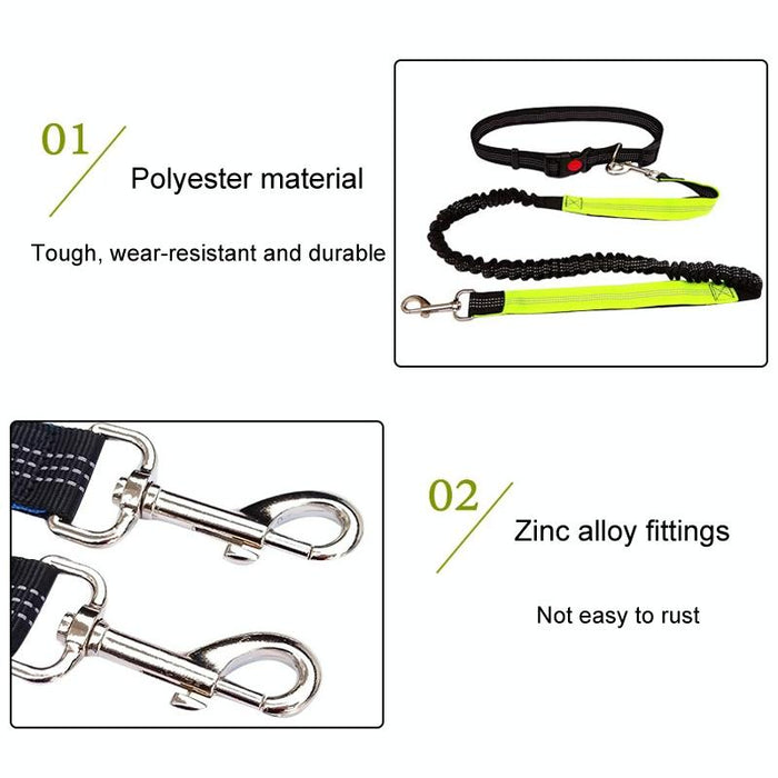 Multifunctional Dog Walking Leash For Active Pets