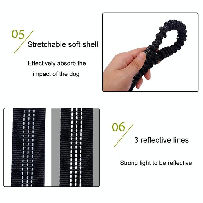 Multifunctional Dog Walking Leash For Active Pets