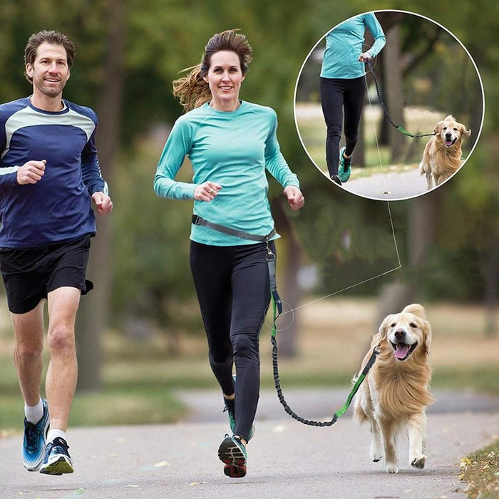 Multifunctional Dog Walking Leash For Active Pets